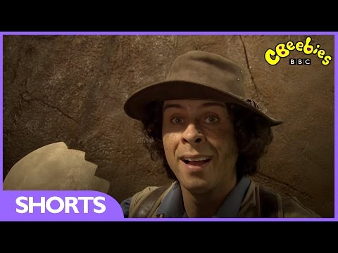 CBeebies: Andy's Prehistoric Adventures - Dinosaur Eggshell