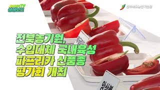 전북농기원, 수입대체 국내육성 파프리카 신품종 평가회 개최