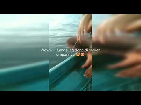 mancing rintas dan mancing dasar di tempat nagkap ikan( BAGAN ),dan ngga nyangka hasilnya😇