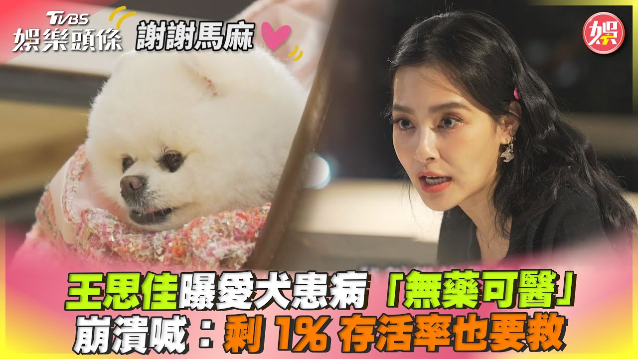 影音／王思佳曝愛犬患病「無藥可醫」　崩潰：剩1%存活率也要救