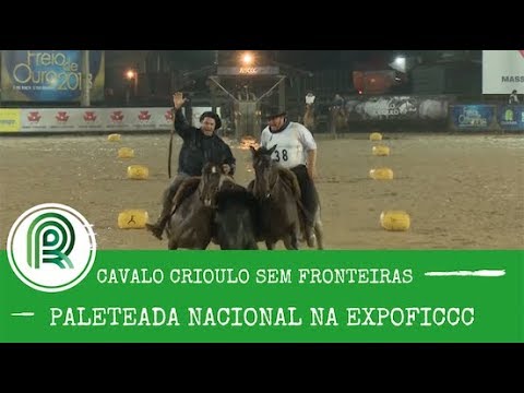 Veja quem ganhou a paleteada nacional na Expoficcc