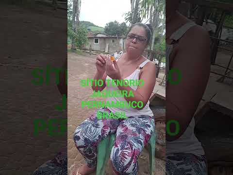 SÍTIO TENORIO JAQUEIRA PERNAMBUCO BRASIL
