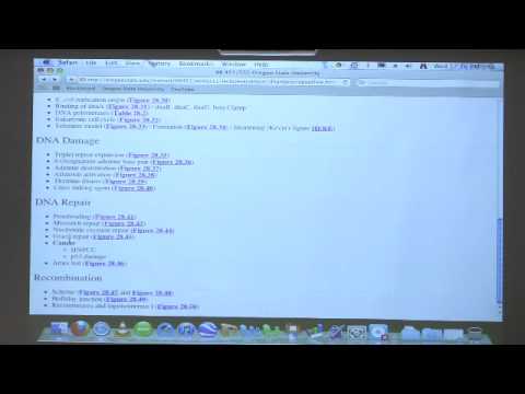 Kevin Ahern's Bite-Sized Biochemistry #44 - DNA Replication, Repair, Recombination IV