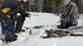 Как клев на чудеса