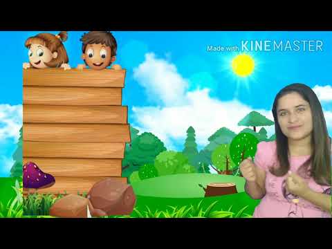 Bichinhos de Jardim - aula 4