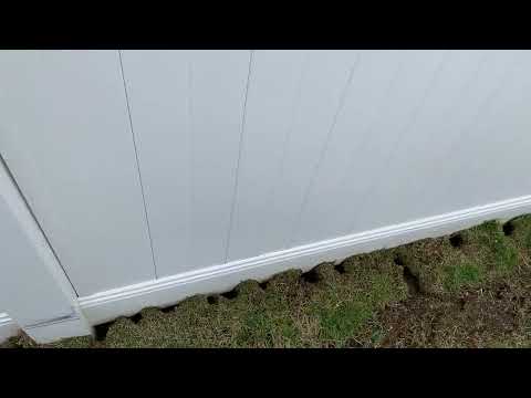 A Ton of Rat Burrows Found by the Fence in Tinton Falls, NJ