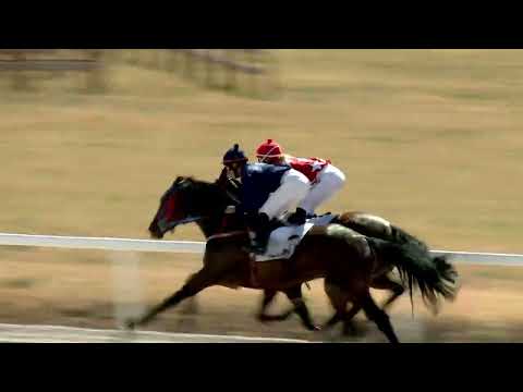 2022.08.14. 02. futam - AKROBAT HENDIKEP (V.o.) (szintetikus pálya)