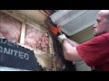 A Housewife Cries: Devastating Termite Damage to Her Home