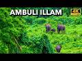 ടൈഗർ റിസർവിനുള്ളിൽ ഒരു രാത്രി അതും ട�