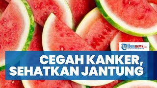 Mencegah Risiko Kanker, Ini 8 Manfaat Buah Semangka untuk Kesehatan dan Kandungannya
