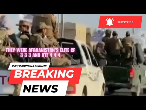 they were Afghanistan's elite CF 3 3 3 and ATF 4 4 4
