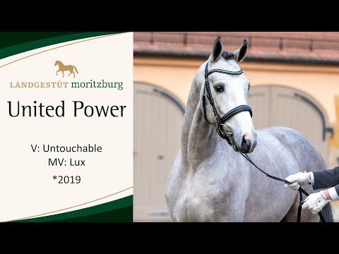 UNITED POWER v. Untouchable - Lux