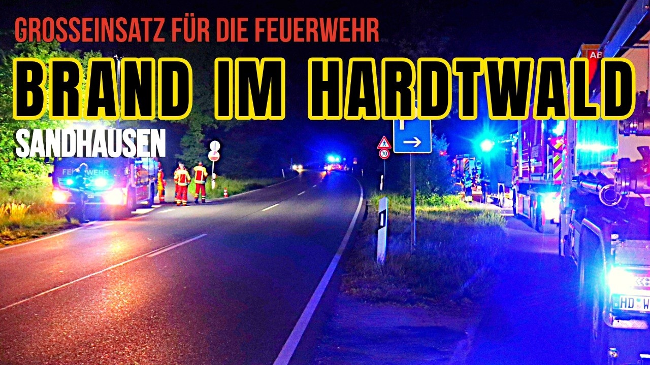 Vegetationsbrand im Hardtwald bei Sandhausen – Großaufgebot im Einsatz