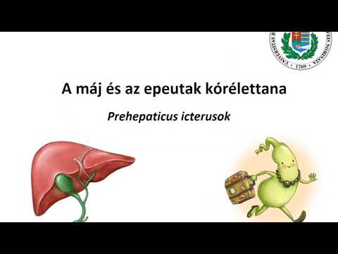 Fogyni biztonságosan - Buzgó fogyás sikertörténetek