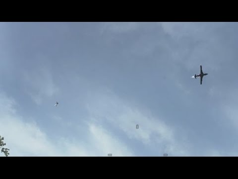 The Little Hunter That Actually Did