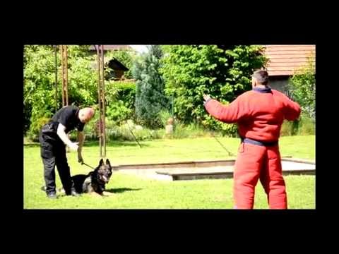 Polícia Martin - MDD Blatnica 2015 ( Police dog attacks )