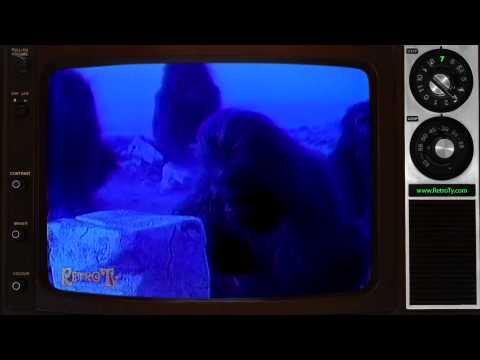 1988 - AST Computers - Times Have Changed