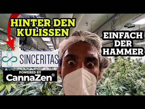 Cannabis-Plantage Nordmazedonien