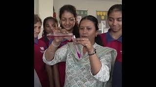Vidyashilp School- Banashankari Video