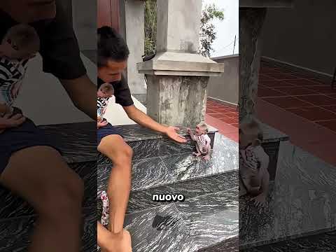 Scimmia gelosa vs nuovo cucciolo: chi vince? 🐒🆚🐶 #shorts #divertente #pet
