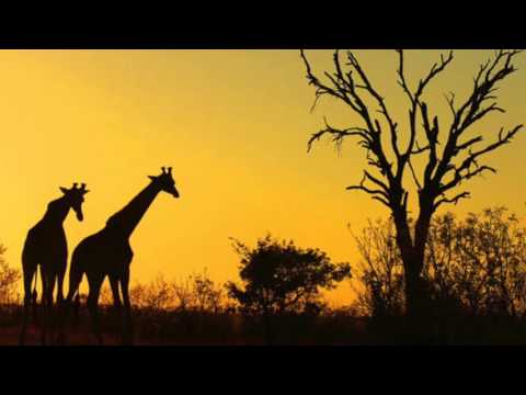 DJ X-Trio Feat. Dji Tafinha - Welelo (Original Mix)