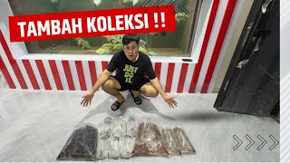 TAMBAH KOLEKSI MARKAS JAMM VLOG LAGI !!! HASIL HUNTING TENGAH MALAM DI PASAR IKAN HIAS JATINEGARA