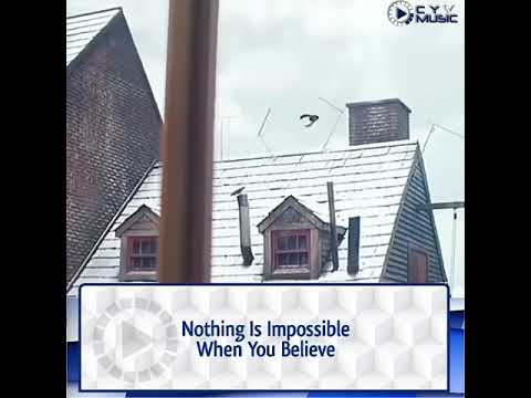 download lagu mp3 mp4 Nothing Is Impossible If You Believe, download lagu Nothing Is Impossible If You Believe gratis, unduh video klip Nothing Is Impossible If You Believe