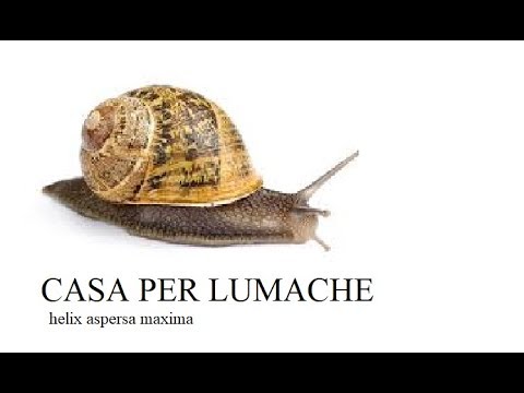 Da che psoriasi su mani Se si deve essere leczema curato su mani