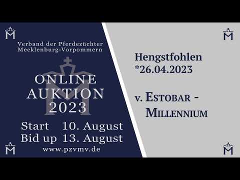 Nr. 11 v. Estobar NRW/Millennium