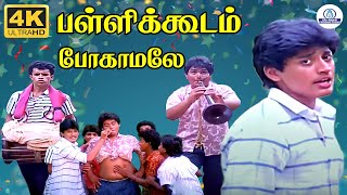 Download lagu Pallikoodam Pogamale 4K Video Song| பள்ளிக்கூடம் போகாமலே | Gangai Amaran | Prashanth mp3 Download lagu Pallikoodam Pogamale 4K Video Song| பள்ளிக்கூடம் போகாமலே | Gangai Amaran | Prashanth mp3