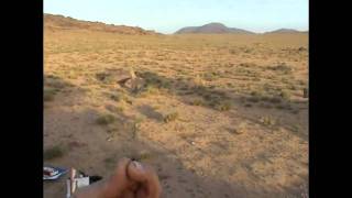 preview picture of video 'Impala Adventures - Grass Collecting - Morocco 05/10/2006'