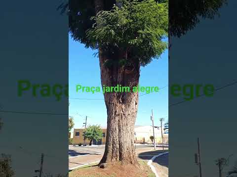 praça de jardim alegre Paraná