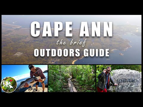 CAPE ANN: 7 Sweet Nature Spots for Outdoors Activities & Wildlife