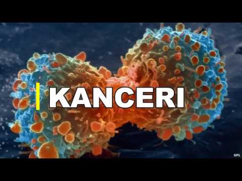 KUSH E SHKAKTON DHE ÇKA ËSHTË KANCERI -ANIMACION 3D