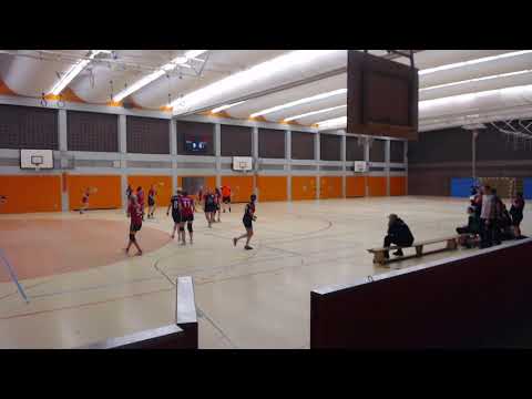 15.02.2020 BZL F - SG DJK Erlangen/Baiersdorf : HSG Berching/Pollanten