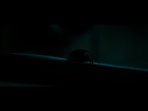 Saint Maud - God Speaking (Film Clip)