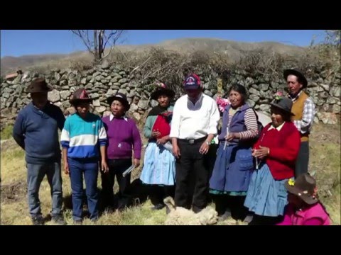 SANCCARARA (huayno) BANDA ORQUESTA ARMONIA CORACORA