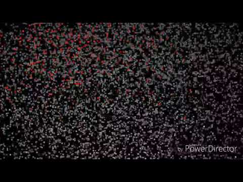 LEE MOE X BIG MIC  NASCAR.