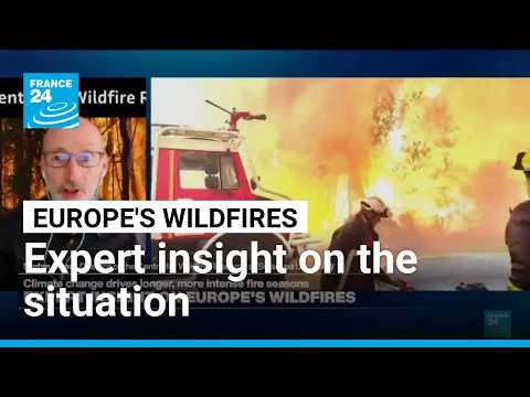 'We see a longer fire season nearly everywhere': Why are Europe's wildfires getting more extreme?