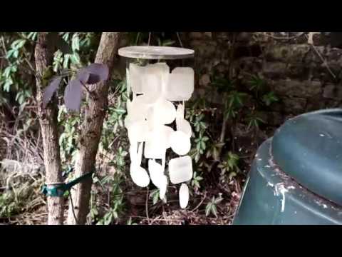 UMIDIGI F1 PLAY CAMERA TEST - Sunny Wind Dog - 1080p