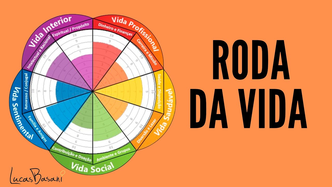 Projeto de vida - Roda da Vida