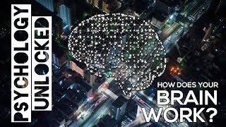 Does all of the brain work all of the time? Cerebral Localisation or Environmental Learning
