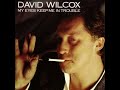 David Wilcox   Love Meltdown HQ with Lyrics in Description