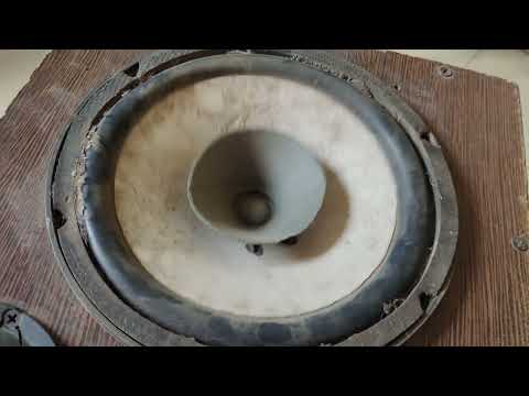 8 inches yp speaker Bass Love You