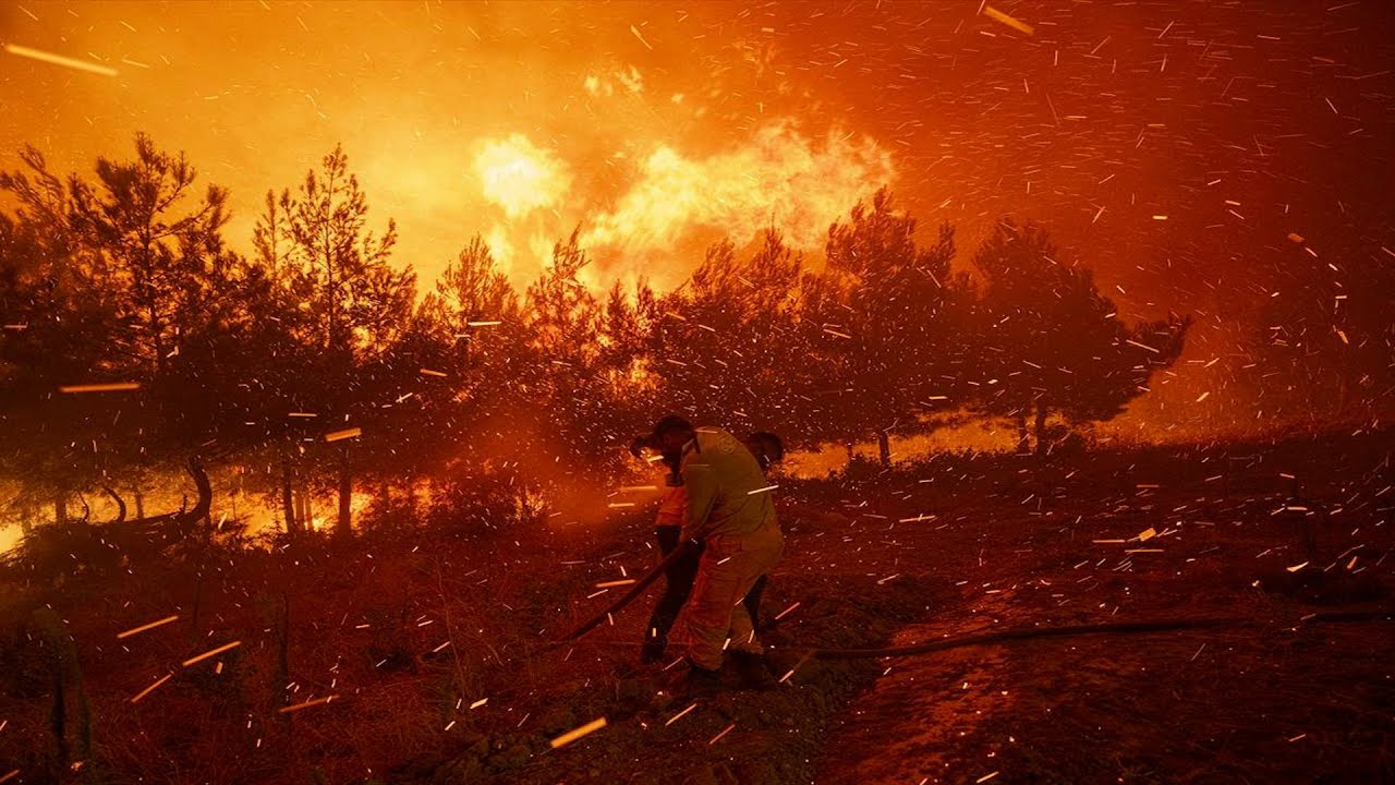 Թուրքիայի Չանաքալե, Էդիրնե, Մանիսա և Հաթայ նահանգներում խոշոր անտառային հրդեհները շարունակվում են