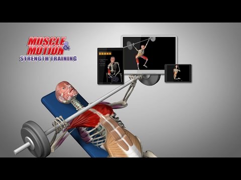 Muscle and Motion - Strength Video