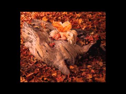 Anne Geddes baby - omaggio all'artista fotografa