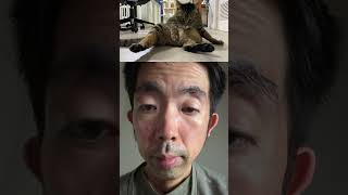 武蔵飛びをする猫2026.9.2@TORU#vlog #iphone#切り抜き
