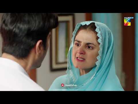 Tumhen Mohabbat Nahi Hawass Hai....!! - Ibn-e-Hawwa - HUM TV