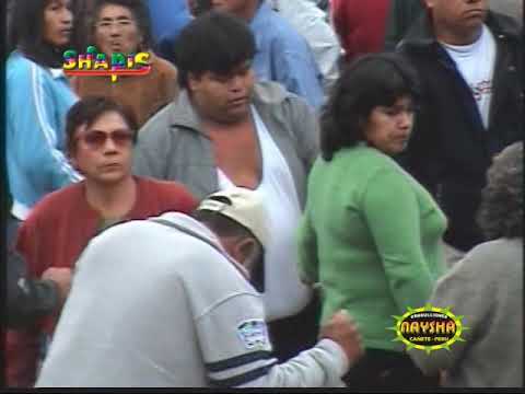 SHAPIS EN QUILMANA 01